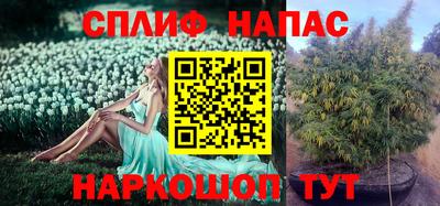 дживик Заволжье