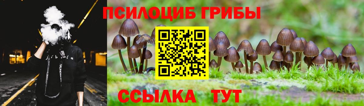 Куйбышев  Галлюциногенные грибы Magic Shrooms  Вход с VPN 